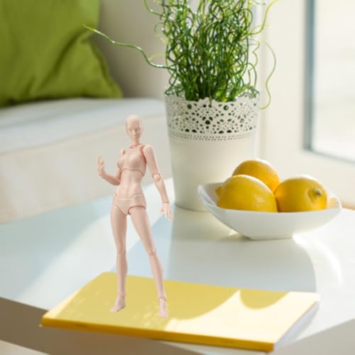 Grtheenumb Actionfigur Model PVC Manga Kunst Zeichnung Puppe Körper Kun Chan weibliche Hautfarbe Künstler Sammlerspielzeug Kunstfigur Model Grtheenumb Actionfigur Model PVC Manga Kunst Zeichnung Puppe Körper Kun Chan weibliche Hautfarbe Künstler Sammlerspielzeug Kunstfigur Model von Grtheenumb