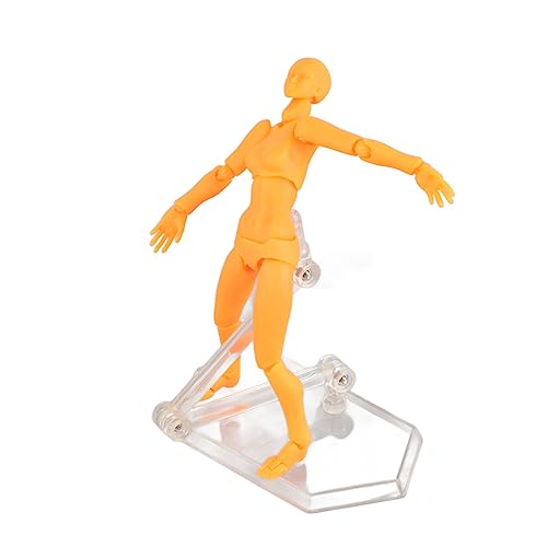 Gsycle Aktion Figure Körper, anpassbare Posen bewegliche PVC menschliche Körpermodell Zeichnung Schaufensterpanzmodell Zeichnung Accessoires mit Klammer für Familienbüro Skizzieren (Frau) von Gsycle