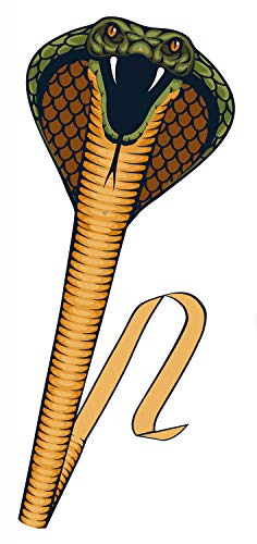 Paul Günther 1154 - Einleinerdrachen Cobra, Drachen in Form einer Schlange, eindrucksvoller Silhouettedrache, mit Fiberglasstäben, Wickelgriff und Schnur, ca. 69 x 400 cm groß von GÜNTHER FLUGSPIELE