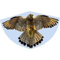 Paul Günther 1230 - Kinderdrachen Falke, Einleiner-Drachen, 92x62 cm von Günther Flugspiele