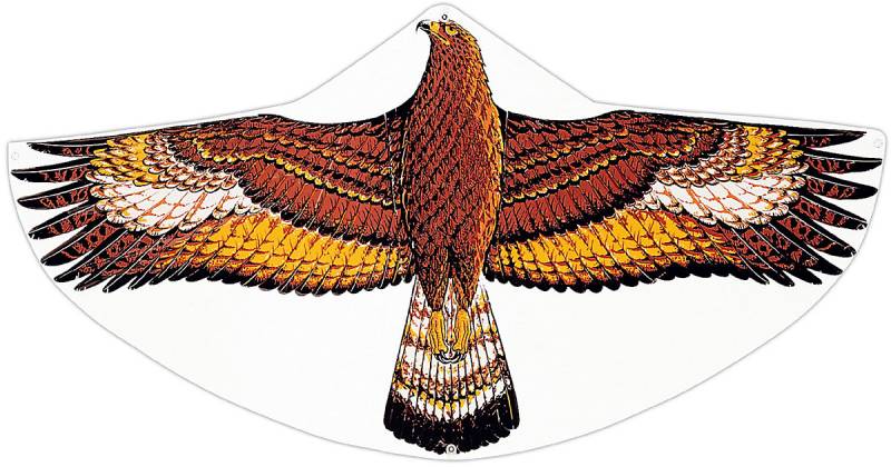 Steindadler Kinderdrachen von Günther