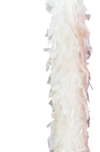 FIESTAS GUIRCA 16343 Günstige Boa aus echter Feder, 180 cm, Weiß, Taglia unica von FIESTAS GUIRCA