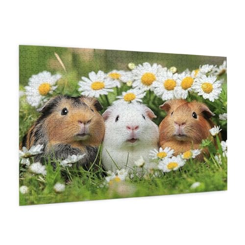 Gänseblümchen Puzzle 3000 Teile Erwachsene Puzzle Tier Design für Erwachsene Beginner, HD Farbe HolzPuzzle mit Geschenkbox Verpackung for Zimmer Deko Wohnzimmer, Geschenke für Frauen 80x120cm -z529 von Guofuos