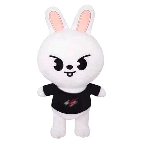 MaSif Stray-K Kuscheltier Kawaii SKZ Plush Toy, Starry Eyes 3D Plüsch-Überwurfkisse PP Baumwollfüller Kinderspielzeug for Cuddly Toy Lovers Children's Toy Gift Filled - 20cm von Guoml