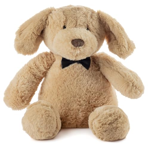 Gustaw Teddybär Groß XXL Hund Gatsby (40cm) - Plüschbär, Kuschelbär XXL Plüschtier, Spielgefährte und Deko in einem - Stofftier, Plüschtier Kuscheltier Teddy Bear (40cm) von Gustaw