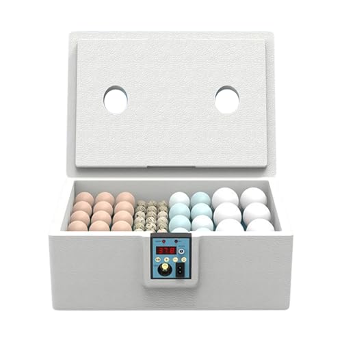 Brutkästen für Bruteier, Entenei-Inkubator, intelligentes Temperaturkontrollsystem, Geflügel-Inkubationsbox, für Labor, Wissenschaft, Klassenzimmer, Zuhause, Schule, 43,5 x 32 x 15 cm von Gvblkq