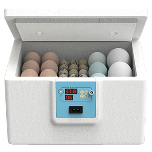 Eierbrutator, Haushaltswachtelbrutschrank, Schaumstoff, elektronische Komponenten, halbautomatische thermostatische Inkubationsmaschine für Wissenschaft, Klassenzimmer, Bauernhof, Labor, Taube von Gvblkq