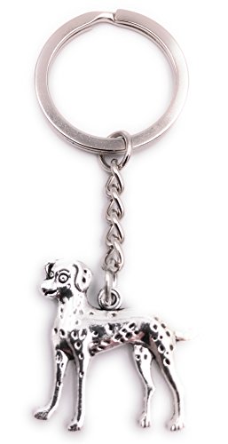 H-Customs Dalmatiner Hund Dog Haustier Schlüsselanhänger Anhänger Silber aus Metall von H-Customs