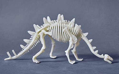 HABA 303445 - Terra Kids Glow-in-the-dark-Stegosaurus | Dinosaurier-Skelett zum Zusammenbauen für Kinder ab 6 Jahren | 10-teiliges Dino-Modell aus Kunststoff leuchtet im Dunkeln von HABA