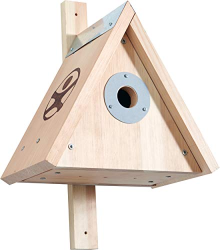 HABA 304544 - Terra Kids Nistkasten - Bausatz, Bausatz und Anleitung zum Selber bauen eines Nistkastens für Kinder (28,5 x 40 x 28,5 cm), zum Beobachten von Vögeln von HABA
