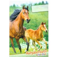 Lernfreunde Aufgabenheft Farbenfroh Mini A6 1 Schuljahr Motiv 'Pferde' EH, Zusatz sortenrein von Häfft
