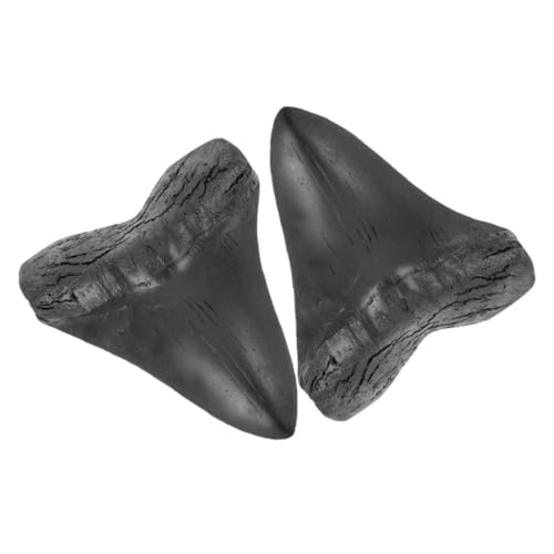 HAMPPLIES 2 Stück Teiliges Megalodon Ersatzteil Nachbildung Resin Dekoration Präzise Modellierung Leicht Tragbar als Geschenk für Geschichts Naturkundefans von HAMPPLIES