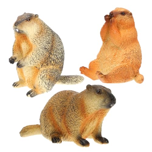 HAMPPLIES 3stücke Teiliges Realistische Murmeltier Figurine Naturgetreue Deko Für Kinderzimmer Klassenzimmer Lernspielzeug Tierkunde Und Kreativität von HAMPPLIES