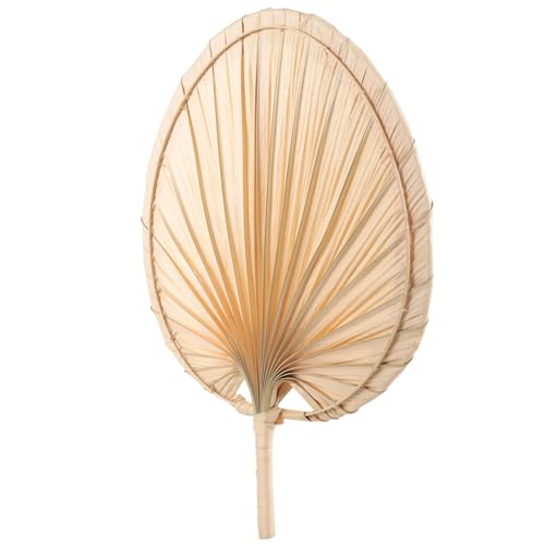 HAMPPLIES Handgefertigter Palmblatt Fächer Vintage Hochzeitsfächer Multifunktionaler Sommerfächer für Partys Strand und Dekoration Leicht Langlebig und Angenehm der Handhaltung HAMPPLIES Handgefertigter Palmblatt Fächer Vintage Hochzeitsfächer Multifunktionaler Sommerfächer für Partys Strand und Dekoration Leicht Langlebig und Angenehm der Handhaltung von HAMPPLIES