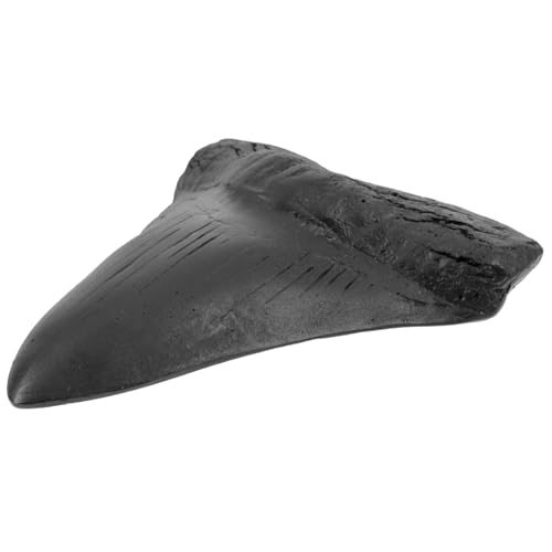HAMPPLIES Simulation Megalodon Hai Zahn Realistische Dekoration Für Zuhause Nachbildung Lehrmaterial Und Sammlerstück Detailreiche Gestaltung Für Haifischliebhaber von HAMPPLIES
