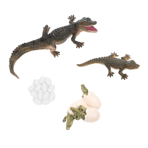 HANABASS Alligator Lebenszyklus Modell Pädagogisches Kunststoffspielzeug für Kinder zur Simulation des Wachstumszyklus Lernspielzeug für Natur und Tierentdeckung HANABASS Alligator Lebenszyklus Modell Pädagogisches Kunststoffspielzeug für Kinder zur Simulation des Wachstumszyklus Lernspielzeug für Natur und Tierentdeckung von HANABASS