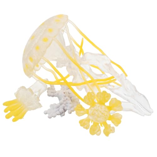 HANABASS 1 Set Quallen Ornamente Tiere Figuren Meerestierfiguren Lebenszyklus Figuren Wissenschaftsbausatz Für Tiermodelle Meerestiermodelle Lebenszyklus Vorschulspielzeug von HANABASS