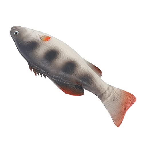 HANABASS 1 Stück Künstlicher Fisch Deko für Simuliertes Fischmodell aus PU Realistische Dekoration für Zuhause Büro und Schule Umweltfreundliches für Kreative Lernspiele Vivid Design für HANABASS 1 Stück Künstlicher Fisch Deko für Simuliertes Fischmodell aus PU Realistische Dekoration für Zuhause Büro und Schule Umweltfreundliches für Kreative Lernspiele Vivid Design für von HANABASS