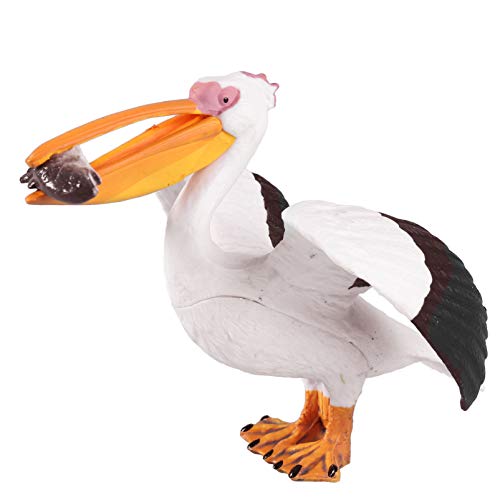 HANABASS Figur Spielzeug Künstliches Vogelmodell Statische Deko für Kinderzimmer und Schreibtisch Realistische Tierfigur aus PVC Umweltfreundliches für HANABASS Figur Spielzeug Künstliches Vogelmodell Statische Deko für Kinderzimmer und Schreibtisch Realistische Tierfigur aus PVC Umweltfreundliches für von HANABASS