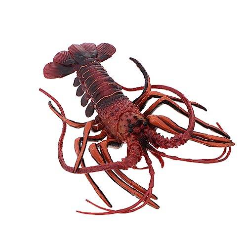 HANABASS 1 Stück Simuliertes Lobster Modell Interaktives Kinderspielzeug für Kreative Rollenspiele Dekorativ für Zuhause oder Büro Detailgetreues Meerestier für Sammler von HANABASS