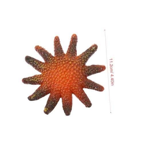 HANABASS 16 Stück Teiliges Meerestiere Figuren Realistische Sea Star Ornamente aus Sicherem Material Farbenfrohe Aquarium Deko Pädagogisches für Kinderzimmer und Wohnbereich Lebensechte HANABASS 16 Stück Teiliges Meerestiere Figuren Realistische Sea Star Ornamente aus Sicherem Material Farbenfrohe Aquarium Deko Pädagogisches für Kinderzimmer und Wohnbereich Lebensechte von HANABASS