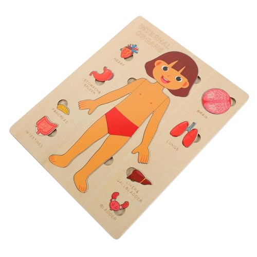 HANABASS 1Satz Menschliches Körperpuzzle für Lernspielzeug für Kleinkinder Interaktive Pädagogisches Puzzle zur Kognitiver Fähigkeiten für Kindergarten HANABASS 1Satz Menschliches Körperpuzzle für Lernspielzeug für Kleinkinder Interaktive Pädagogisches Puzzle zur Kognitiver Fähigkeiten für Kindergarten von HANABASS