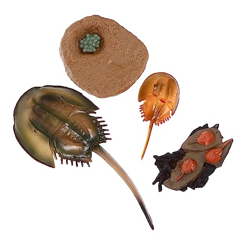 HANABASS 1Satz Mini Kreaturen Modell Realistische Seetier Spielzeuge für Handwerk Aquarium Deko und Lehrmittel Umweltschonende Designs von HANABASS
