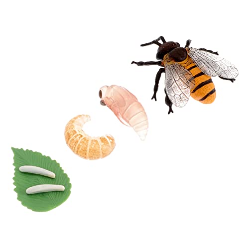 HANABASS Simulationszyklus Bienenwachstumsmodelle Spielzeug für Kinder Pädagogisches Insektenmodell Realistisches Bienenwachstumsfigurenspielzeug für Kreative Lernspiele und Schulprojekte von HANABASS