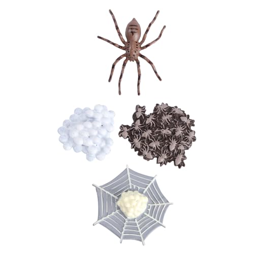 HANABASS 1Satz Tierspielzeugmodell Lebenszyklus Evolution Modell für Realistische Tierfiguren aus Hochwertigem Material Lernspiele und Partys Langlebig und Kreativ HANABASS 1Satz Tierspielzeugmodell Lebenszyklus Evolution Modell für Realistische Tierfiguren aus Hochwertigem Material Lernspiele und Partys Langlebig und Kreativ von HANABASS
