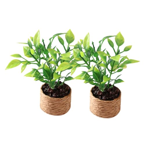 HANABASS 2 Stück Mini-Orangenbaum Topfpflanzen kleine Topfornamente Blumentopfdekoration Kleine Pflanzen Miniaturzubehör Mini -Gartendekoration Kleine künstliche Pflanzen Plastik HANABASS 2 Stück Mini-Orangenbaum Topfpflanzen kleine Topfornamente Blumentopfdekoration Kleine Pflanzen Miniaturzubehör Mini -Gartendekoration Kleine künstliche Pflanzen Plastik von HANABASS