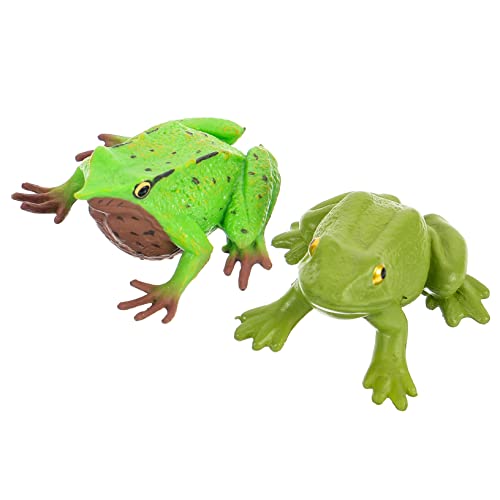HANABASS 2 Stück Realistische Froschfigur Kunststoff Frosch Modell Fischteich Dekoration Lernspielzeug Naturgetreu und Detailreich für und Aquarium von HANABASS