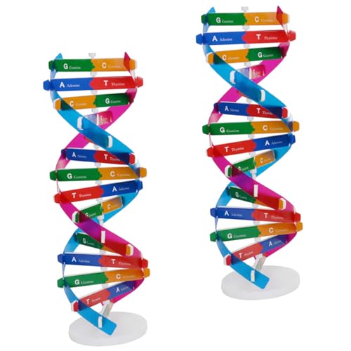 HANABASS 2 Stück Selbstbaumodell molekularbiologie Double Helix Doppelhelix Wissenschaftliches ermutigen Biologiemodelle Gene Werkzeug deko Biologie DNA-Modell Gen-DNA-Modell Abs von HANABASS
