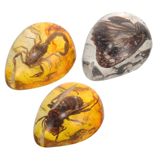 HANABASS 3 Stück Teiliges Insekten Bernstein Ornament Echtes Insekten Bernstein Exemplar für Insektenliebhaber für DIY Projekte und Schmuckdekoration HANABASS 3 Stück Teiliges Insekten Bernstein Ornament Echtes Insekten Bernstein Exemplar für Insektenliebhaber für DIY Projekte und Schmuckdekoration von HANABASS