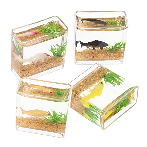 HANABASS 4 Stück Miniatur Aquarium Dekoration Realistische Kleine Quadratische Fischbecken Modelle Winzige Puppenhaus Deko für DIY Miniaturgärten und Tiny House Accessoires von HANABASS