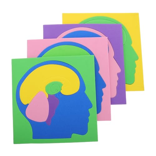HANABASS 4 Teiliges Gehirnpuzzle Für Kleine Puzzles Für Erwachsene Gehirnanatomie Puzzle Menschliches Gehirnanatomie Puzzle Anatomiemodell Menschliches Gehirnmodell Gehirnstruktur von HANABASS