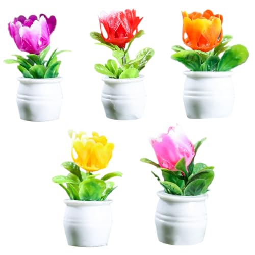 HANABASS 5 Stück Mini Pflanzenmodelle Modelle Winzige Häuser Kunstpflanzen Blumendekoration Kleines Puppenhauszubehör Winzige Häuser Blumentopfpflanzen Kunstharz HANABASS 5 Stück Mini Pflanzenmodelle Modelle Winzige Häuser Kunstpflanzen Blumendekoration Kleines Puppenhauszubehör Winzige Häuser Blumentopfpflanzen Kunstharz von HANABASS