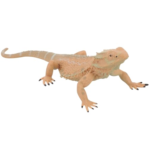 HANABASS Bartagame Figur Realistische Reptilienstatue aus Kunststoff Pädagogisches Spielzeug für Kinder Dekoration für Garten und Balkon Lebensechte Kreatur für Kinder von HANABASS