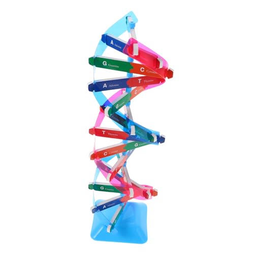 HANABASS DNA Doppelhelix Modell Präzise Biologisches Lehrmittel Stabiles Kit Vielseitig für Unterricht Heimstudium Wissenschaftsausstellungen Geeignet von HANABASS