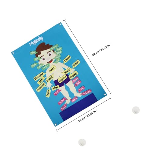 HANABASS Großes Filz lerntafel für Vorschulkinder Kognitives Human Body Activity Board Interaktives Lernspielzeug zur Frühförderung Pädagogisches Wandbrett mit Buntem Cartoon Design von HANABASS