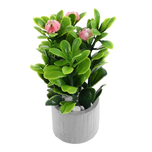 HANABASS Kleines Bonsai Modell Aus Mikro Realistische Pflanze Für Puppenhaus Dekoration Vielseitig Einsetzbar Perfektes Zubehör Für Stilvolle Präsentationen von HANABASS