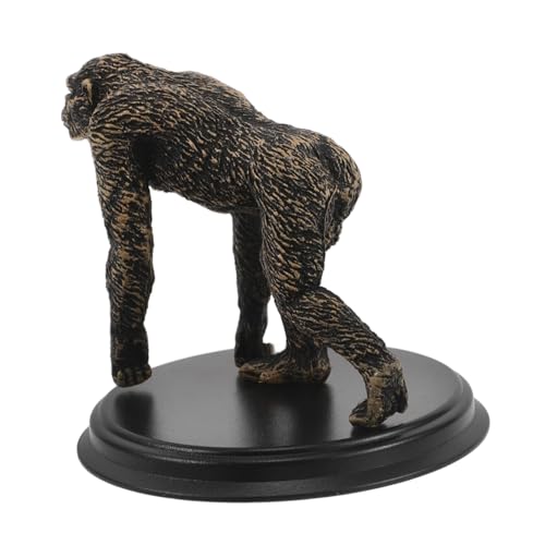 HANABASS Lehrmittel Zur Menschlichen Evolution Pädagogische Spielzeugfiguren Orang-utan- Lernspielzeug Aus Kunststoff Schimpansen -Mann-Figur Gozilla Plastik HANABASS Lehrmittel Zur Menschlichen Evolution Pädagogische Spielzeugfiguren Orang-utan- Lernspielzeug Aus Kunststoff Schimpansen -Mann-Figur Gozilla Plastik von HANABASS