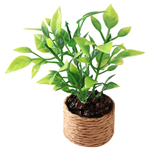 HANABASS Orangenbaummodell Miniatur Blumentopfmodell Kleiner Blumentopf Miniatur Bonsai Puppenhaus-Miniatur-Topfblumen Topfpflanzen-Modell Miniatur-Garten-Bonsai-Dekoration Plastik HANABASS Orangenbaummodell Miniatur Blumentopfmodell Kleiner Blumentopf Miniatur Bonsai Puppenhaus-Miniatur-Topfblumen Topfpflanzen-Modell Miniatur-Garten-Bonsai-Dekoration Plastik von HANABASS