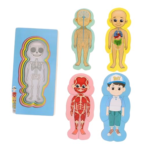 HANABASS Puzzle zur Struktur des menschlichen Körpers Anatomie-Puzzle für Kleinkinder Anatomiespielzeug für Mädchen Lernspielzeug für Jungen Montessori- für Kleinkinder Holz HANABASS Puzzle zur Struktur des menschlichen Körpers Anatomie-Puzzle für Kleinkinder Anatomiespielzeug für Mädchen Lernspielzeug für Jungen Montessori- für Kleinkinder Holz von HANABASS