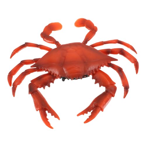 HANABASS Realistische Krabbenfigur Ab Monate Detailgetreues Meeres Tiermodell Pädagogisches Strand Tier Simulation Geeignet als Deko für Meer und Strand Robustes Sammelobjekt HANABASS Realistische Krabbenfigur Ab Monate Detailgetreues Meeres Tiermodell Pädagogisches Strand Tier Simulation Geeignet als Deko für Meer und Strand Robustes Sammelobjekt von HANABASS