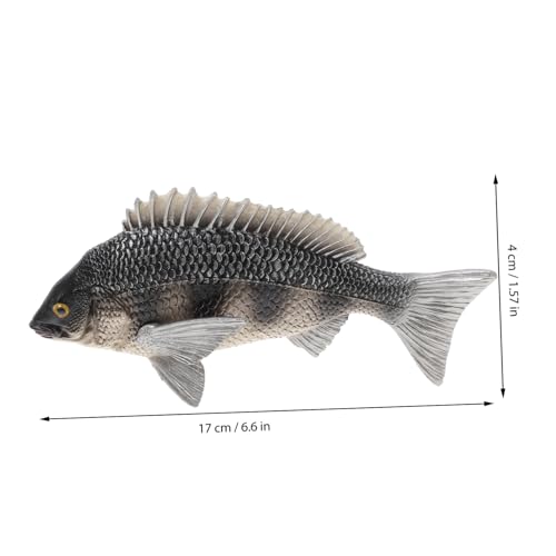 HANABASS Realistisches Fischmodell aus Festem Kunststoff Pädagogisches Kinderspielzeug Detailgetreue Meeresdekoration Stabile Tierfigur für Lernzwecke HANABASS Realistisches Fischmodell aus Festem Kunststoff Pädagogisches Kinderspielzeug Detailgetreue Meeresdekoration Stabile Tierfigur für Lernzwecke von HANABASS