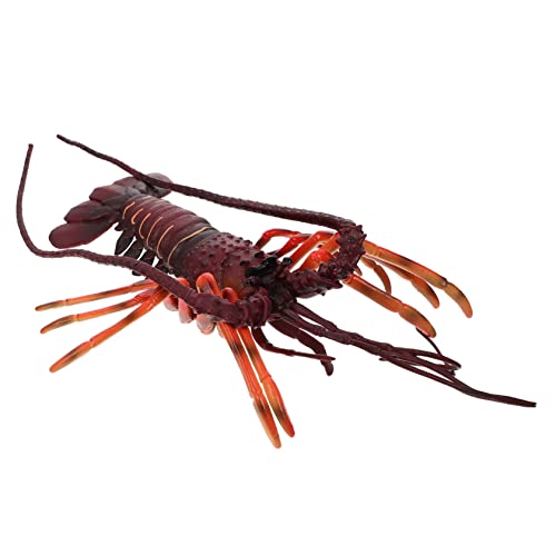 HANABASS Realistisches Hummer Modell Kunststoff Lobster Simulation Naturwissenschaftliche Lernhilfe Dekoration Mehrzweck Kindergeburtstag von HANABASS