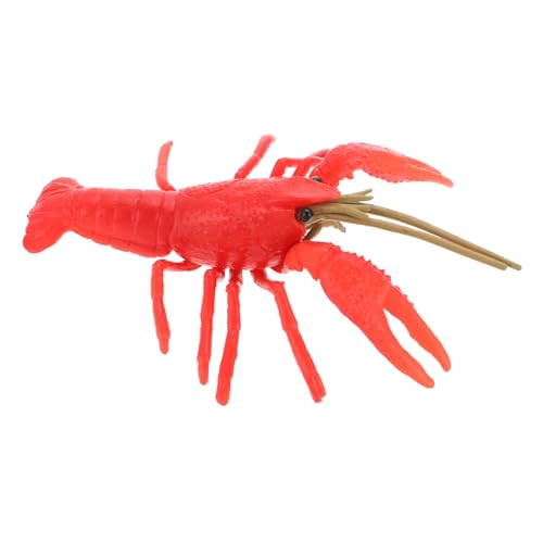 HANABASS Realistisches Hummer Modell Langlebiges Lobster Ornament Lernspielzeug Raumdeko Strandmotiv von HANABASS