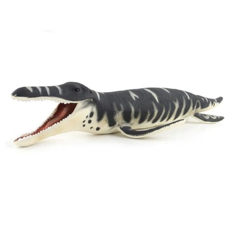HANABASS Realistisches Liopleurodon Dinosaurier Modell PVC Detailgetreue Nachbildung als Dinosaurier Dekoration Langlebiges für Kinderzimmer Geschenkidee für Jungen und Sammler von HANABASS