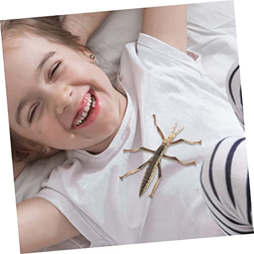 HANABASS Realistisches Modell Bambuszikade Kunststoff Lernspielzeug Pädagogisches Insektenmodell für Mädchen Jungen Naturerlebnis Zubehör HANABASS Realistisches Modell Bambuszikade Kunststoff Lernspielzeug Pädagogisches Insektenmodell für Mädchen Jungen Naturerlebnis Zubehör von HANABASS