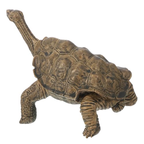 HANABASS Schildkrötenmodell Spielzeugfigur Realistisches Schildkröten Ornament aus Sicherem für Kinderzimmer Dekoration und Pädagogisches Lernen über Tiere HANABASS Schildkrötenmodell Spielzeugfigur Realistisches Schildkröten Ornament aus Sicherem für Kinderzimmer Dekoration und Pädagogisches Lernen über Tiere von HANABASS
